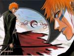  Bleach 