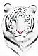 WhItE-TiGeR's Avatar